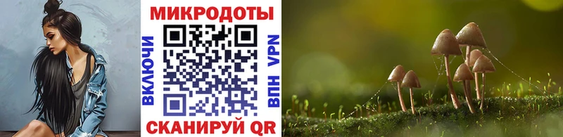 Галлюциногенные грибы прущие грибы  OMG ссылка  Билибино 